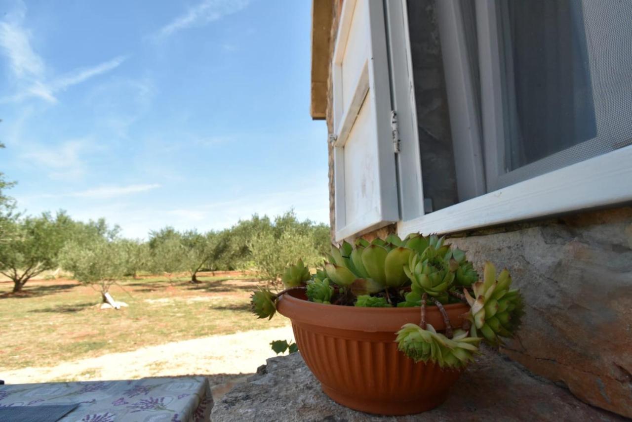 Cottage Rugonj Stari Grad  Ngoại thất bức ảnh