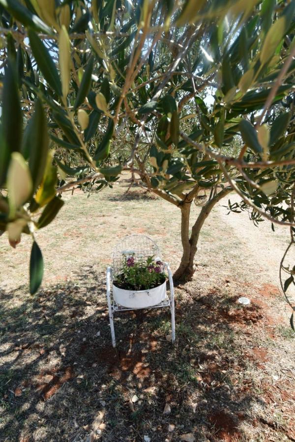 Cottage Rugonj Stari Grad  Ngoại thất bức ảnh